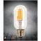 Лампа Едісона Led T45 6w 2700k Domosvet Design 21053-35361